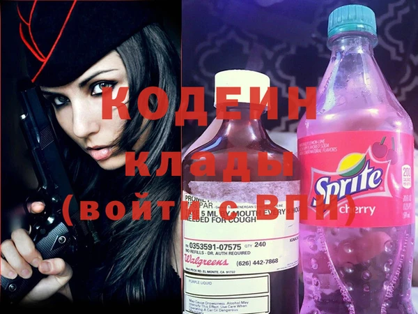 молекула духа Ладушкин