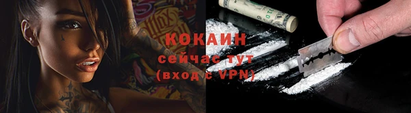 молекула духа Ладушкин