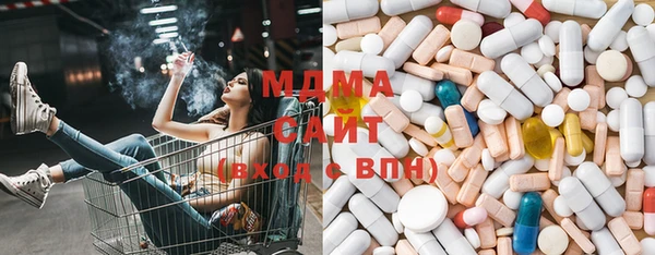 молекула духа Ладушкин