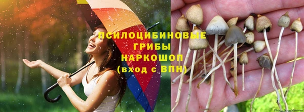 гашишное масло Кохма