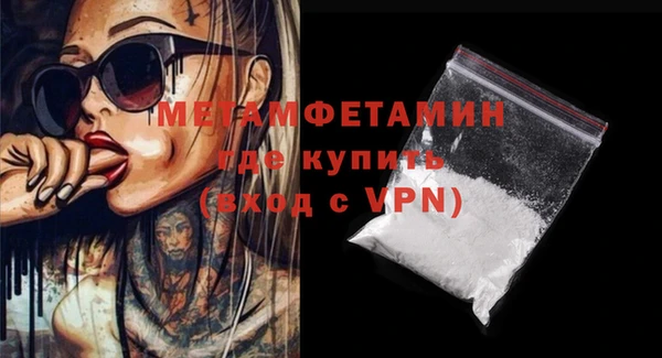 молекула духа Ладушкин