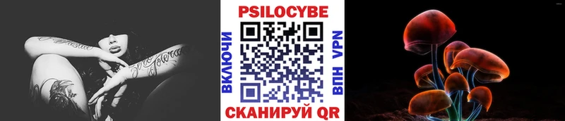 Галлюциногенные грибы Cubensis Нерехта